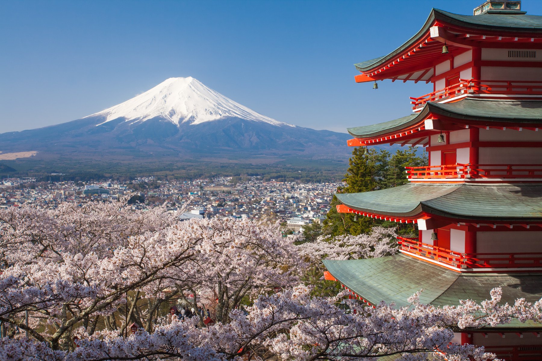 Japan Beautiful Landscape Mountain Fuji And Chureito Red Pagoda With Cherry Blossom Sakura
