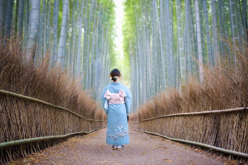 Woman Wearing Traditional Kimono Walks Through Arashiyama Bamboo Forest In Kyoto
