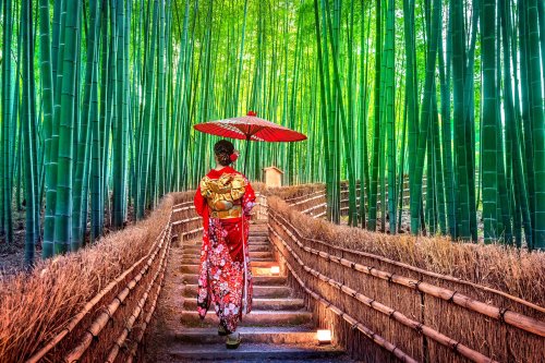 Asian Woman Wearing Japanese Traditional Kimono While Walking Through Arashiyama Bamboo Forest