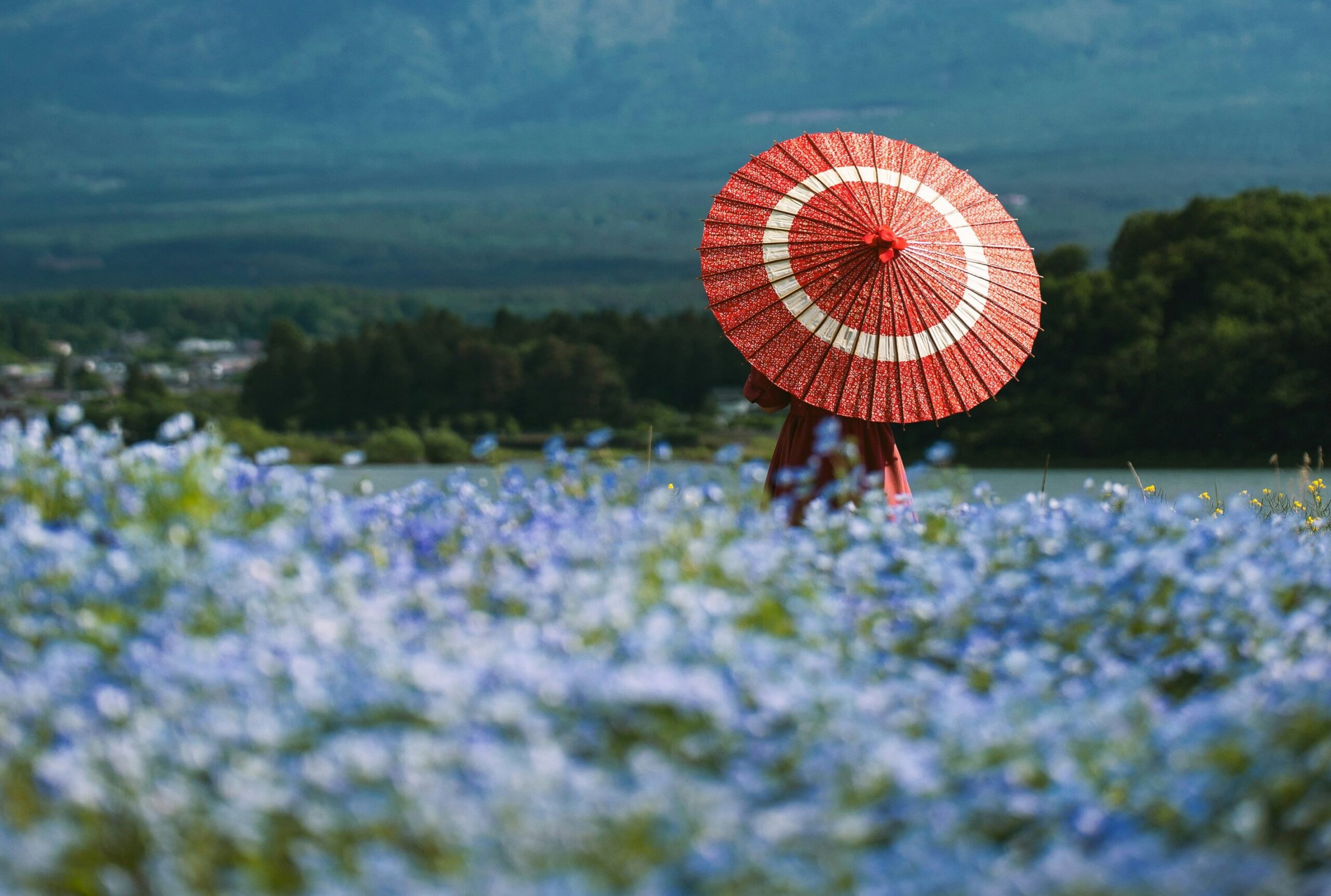 Red Umbrella Mount Fuji View From Fujikawaguchiko