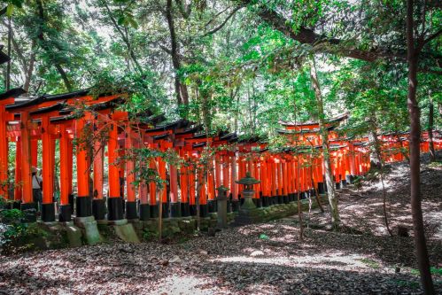 Fushimi Inari Taisha Torii Shrine