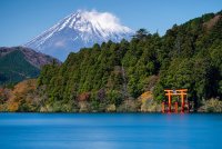 Japan Private Tours