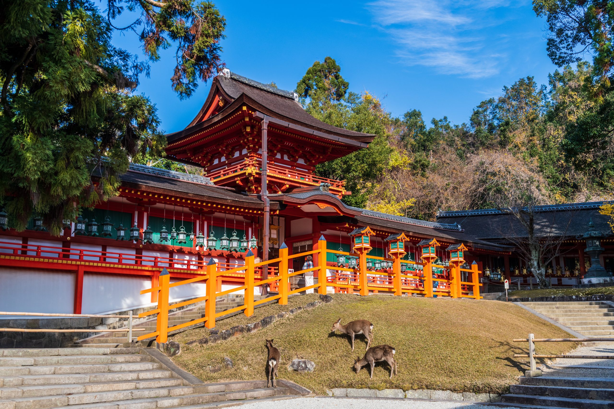 Kasuga Taisha Shrine Nara