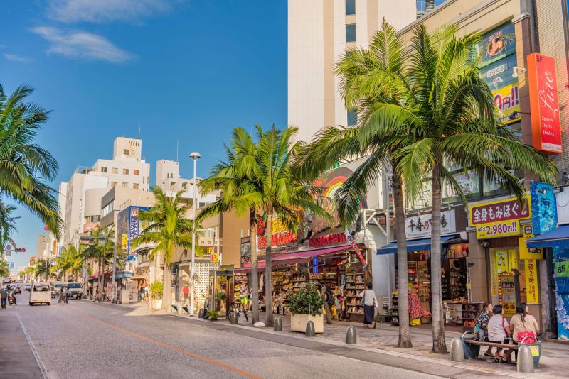 Private Okinawa Nature & History Tour - Kokusai Dori Street