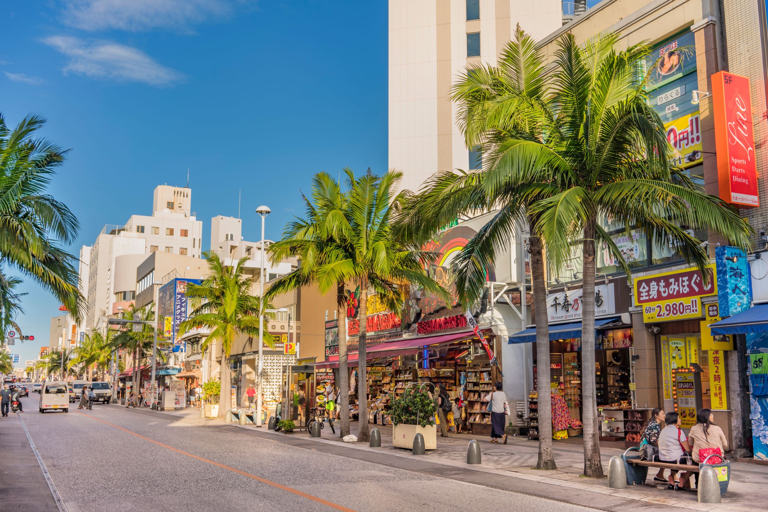 Private Okinawa Nature & History Tour - Kokusai Dori Street