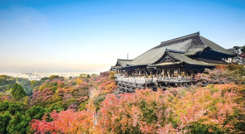 Kyoto Temple - 14 Day Golden Route Private Tour Package