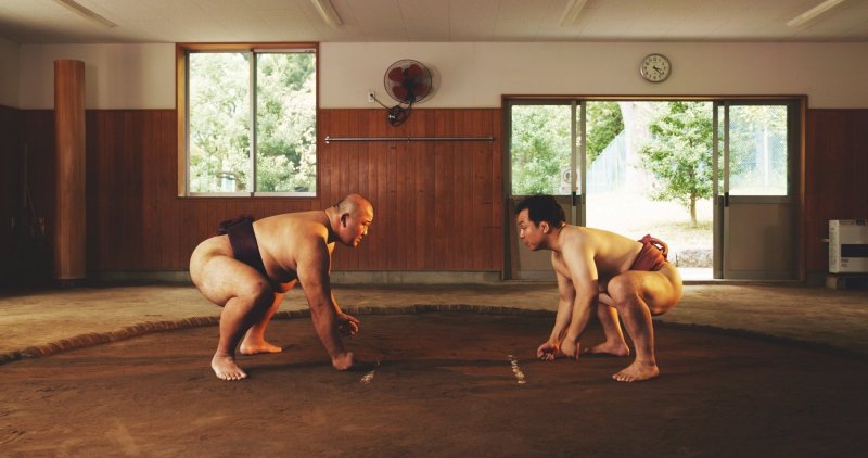 Japanese Men Sumo Wrestling Sport