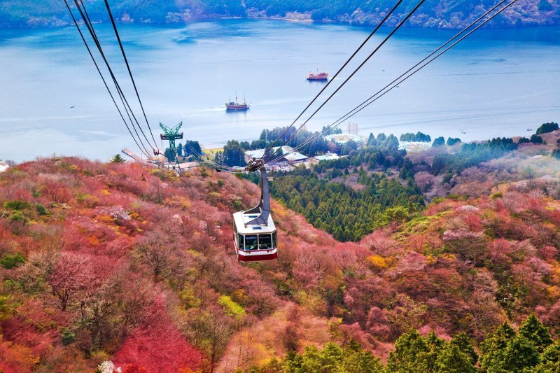 Ropeway Mount Fuji During Falltime