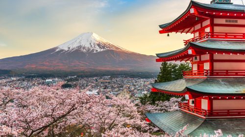 Mount Fuji Cherry Blossom Scaled