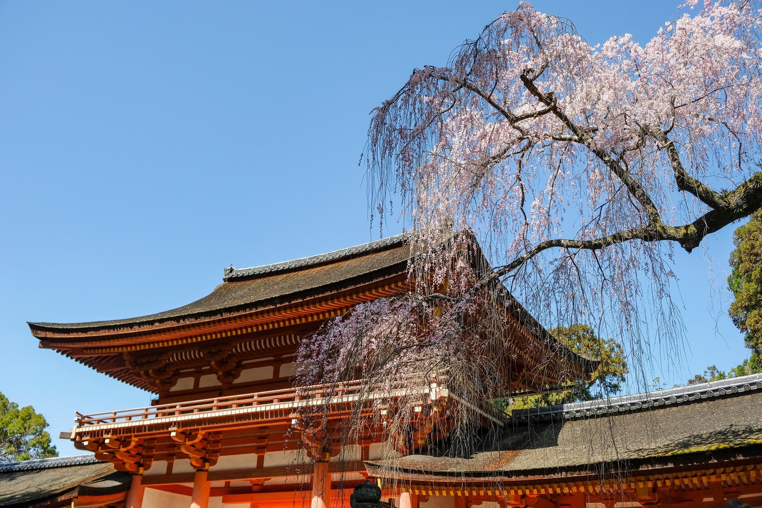 Kasuga Taisha Shrine Nara
