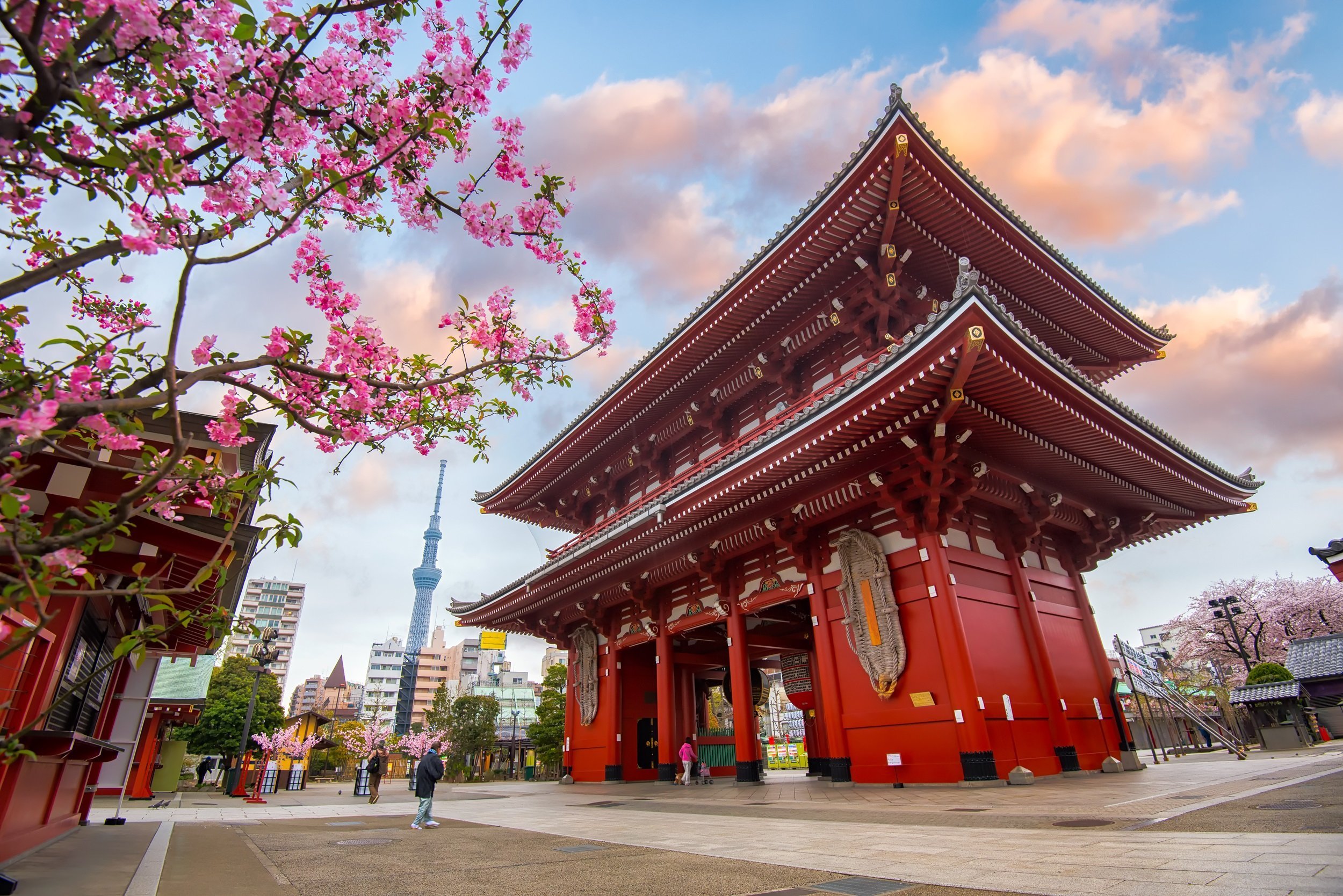 Visit Senso-ji Temple Tokyo - Private Tokyo Tour With Transportation
