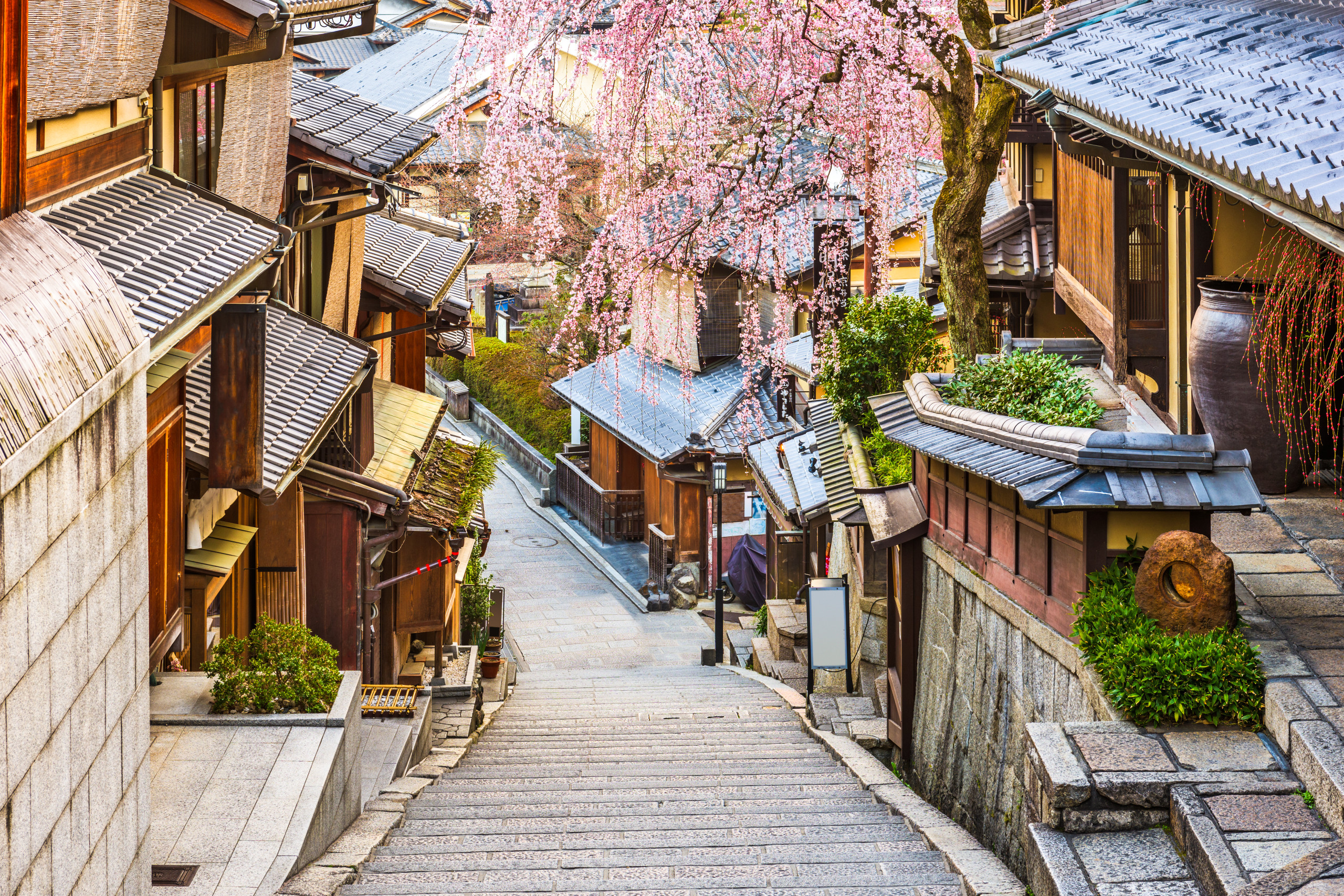 Private Kyoto Walking Tour