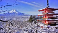 Winter In Japan