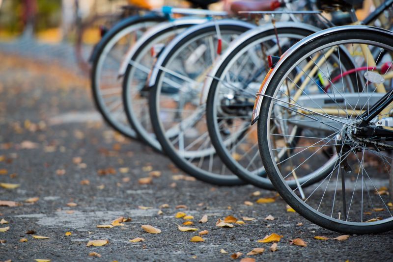 Kyoto Historical Cycling Tour With The Golden Pavilion