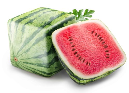 Square Watermelon Japan Fun Facts