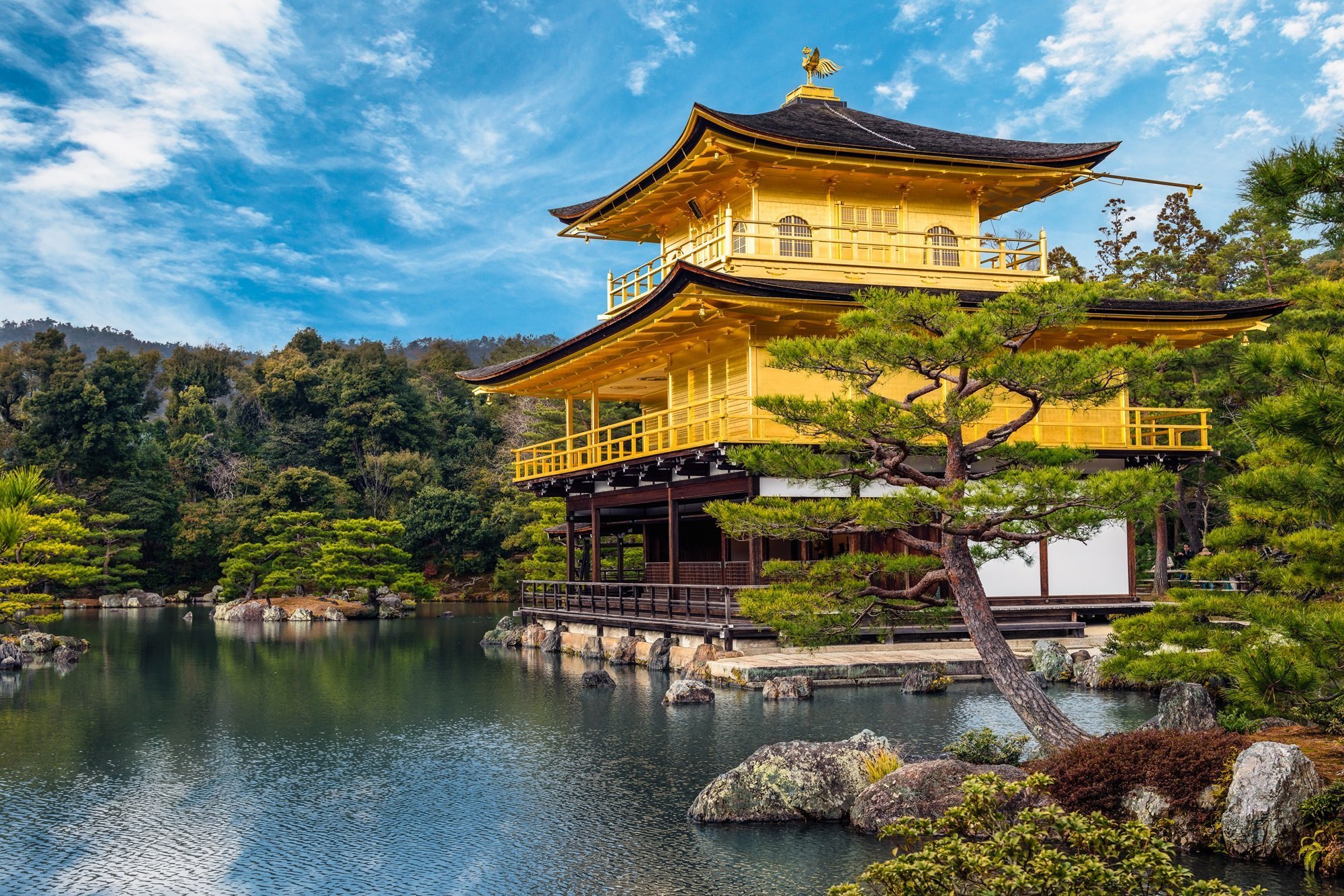 7 Day Best Of Japan Private Tour Package - The Golden Pavilion (kinkaku-ji) Of Kyoto, Japan.