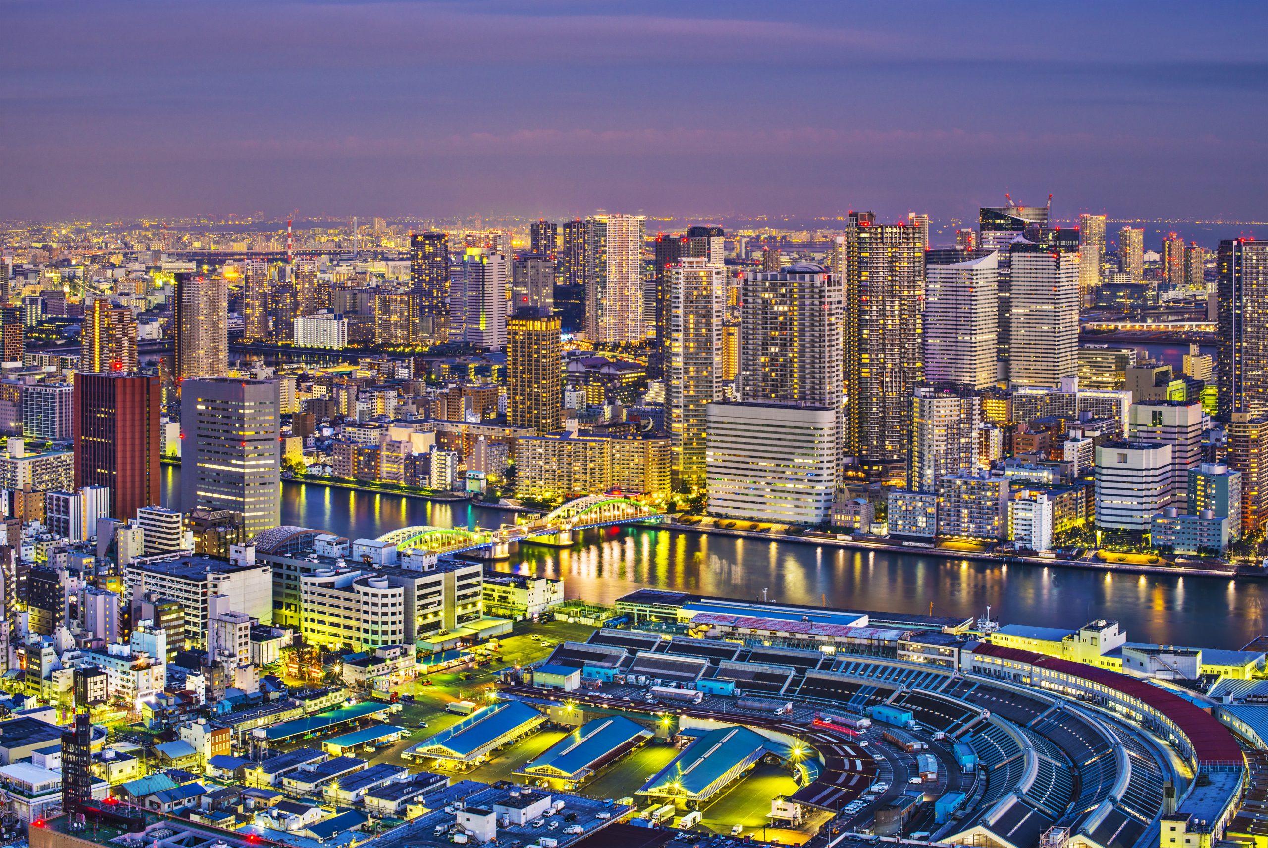 Fish Market Tokyo _ 11 Day Ultimate Of Japan Private Tour Package