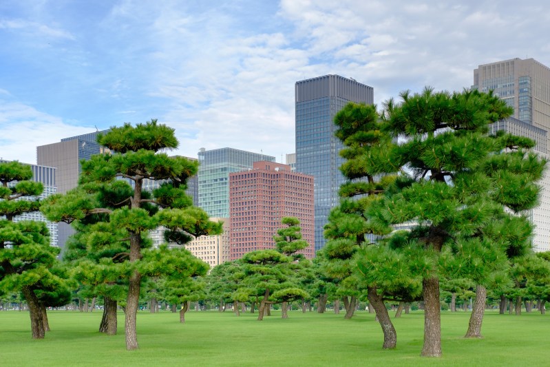 5 Day Tokyo & Mount Fuji Private Tour Package - Tokyo Marunouchi Office District
