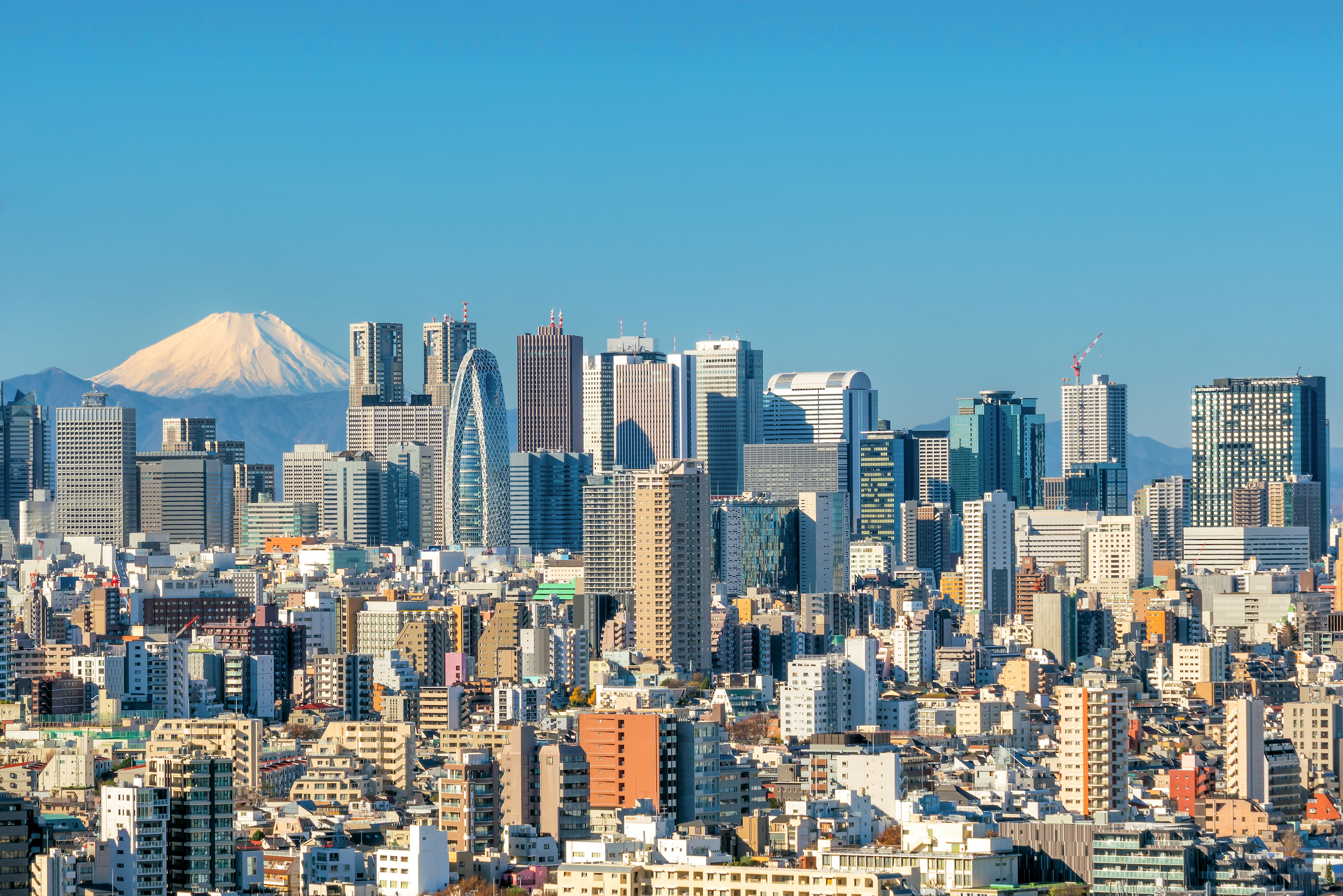5 Day Tokyo & Mount Fuji Private Tour Package - Tokyo Skyline And Mountain Fuji In Japan